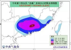 台风爆料最新情况,揭秘‘台风爆料最新情况！”